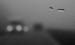 В тумане